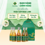 Rượu Sâm Ngọc Linh 187ML