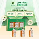Combo 3 Chai Rượu Sâm Ngọc Linh