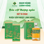 Rượu Sâm Ngọc Linh Chai Classic