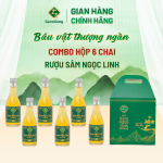 Rượu Sâm Ngọc Linh 187ML