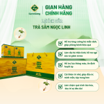 Trà sâm ngọc linh