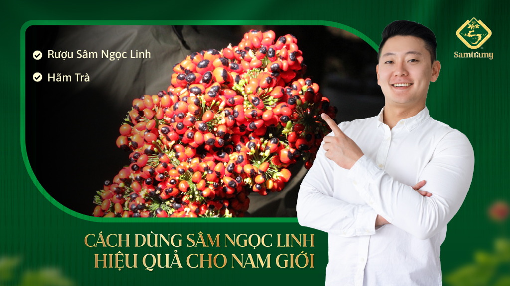 Cach dung Sam Ngoc Linh cho nam gioi
