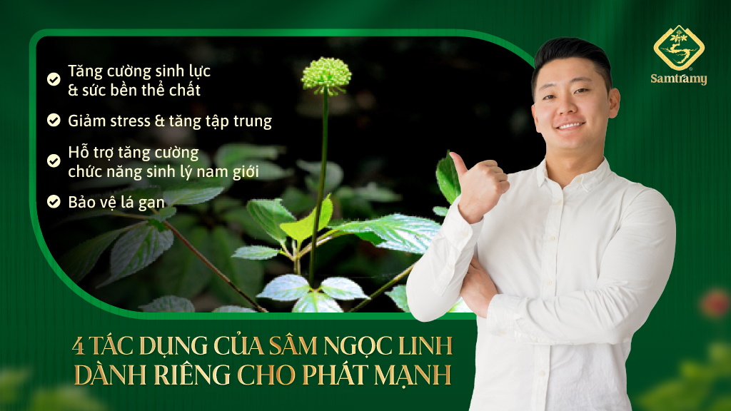 Tac dung cua Sam Ngoc Linh voi nam gioi